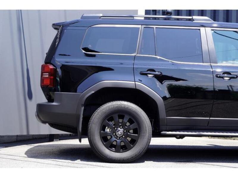 LAND CRUISER 250