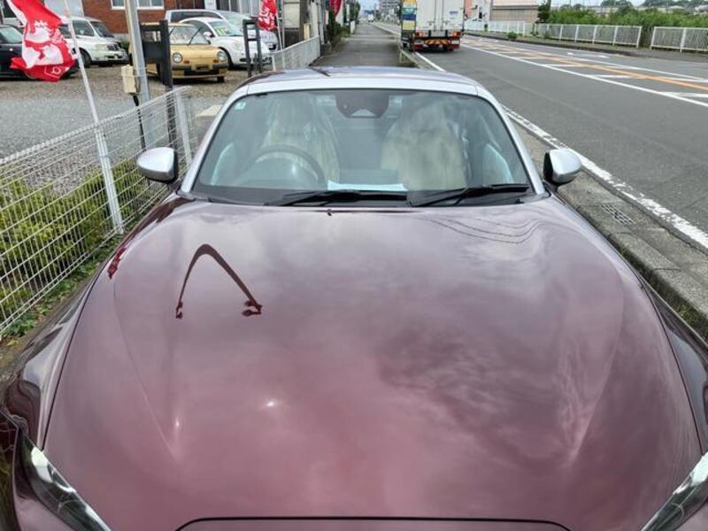 ROADSTER RF