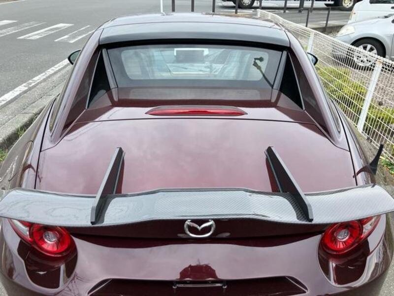 ROADSTER RF