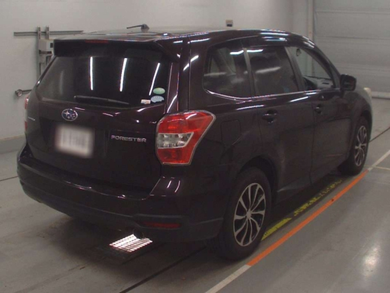 FORESTER