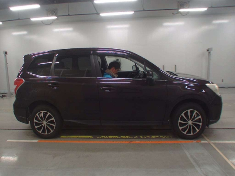 FORESTER