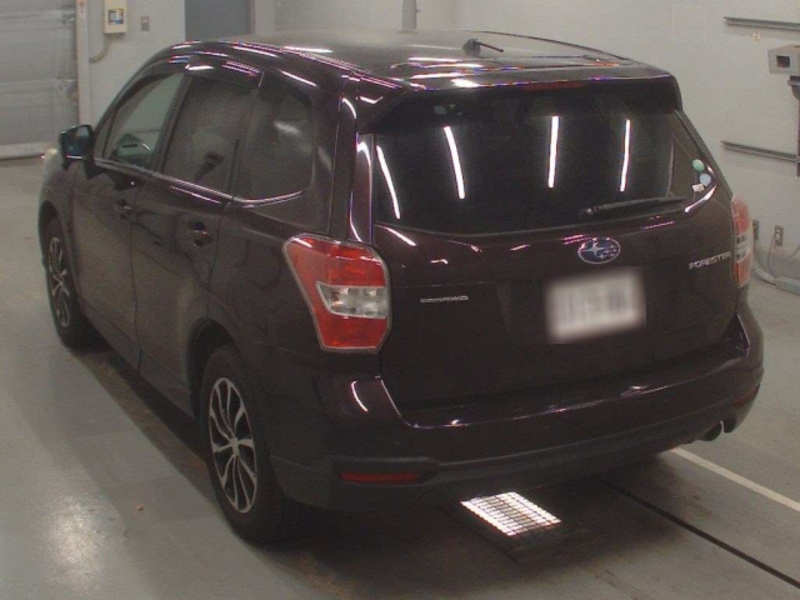 FORESTER