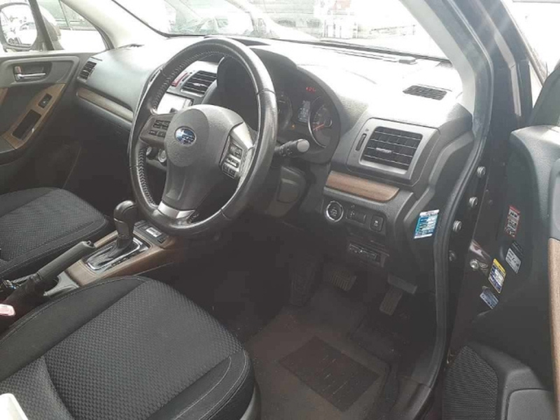 FORESTER