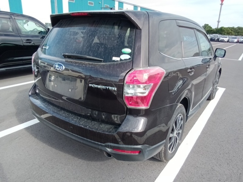 FORESTER