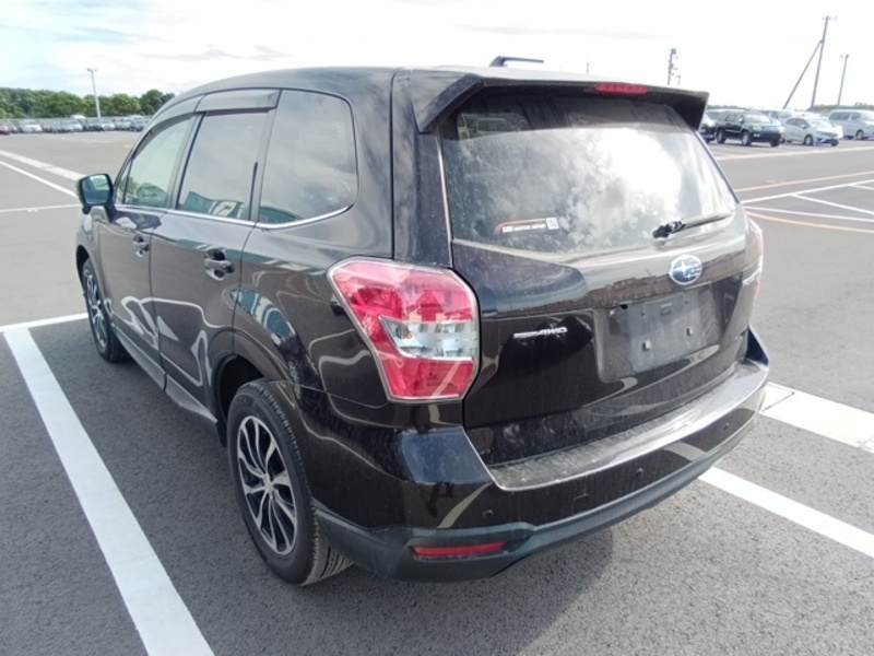 FORESTER