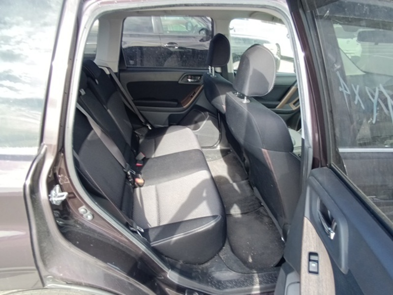 FORESTER