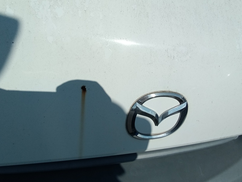 BONGO VAN