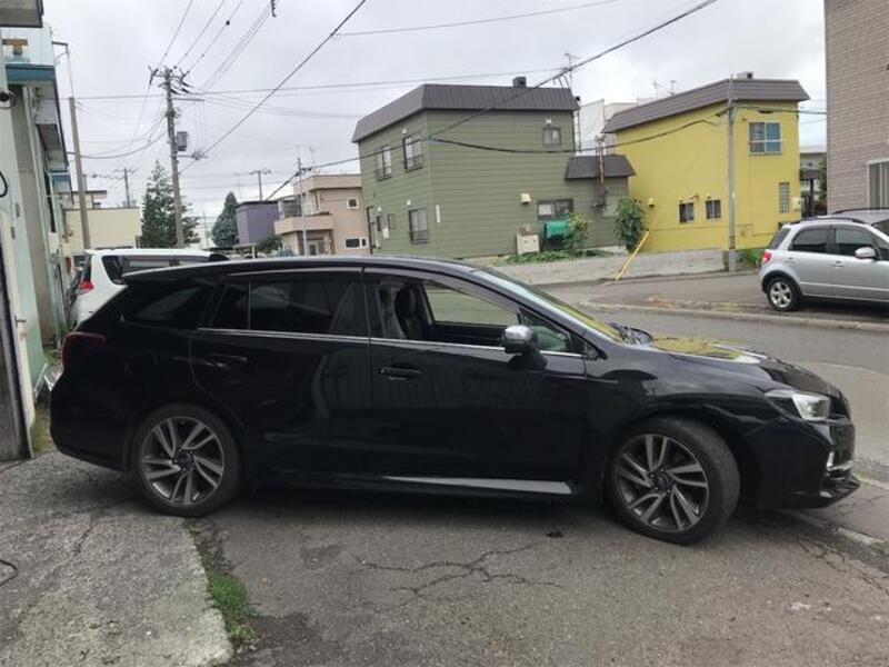 LEVORG