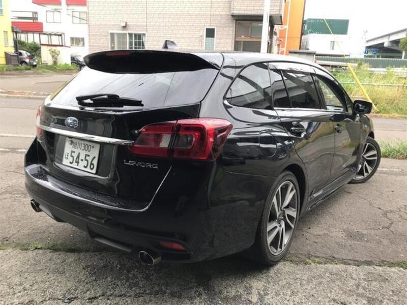LEVORG
