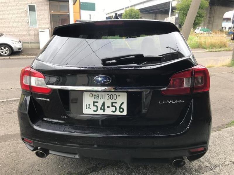 LEVORG