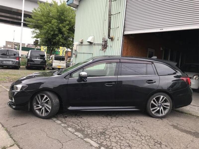 LEVORG