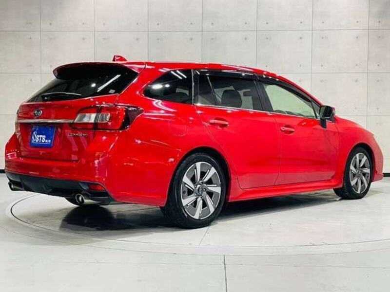 LEVORG