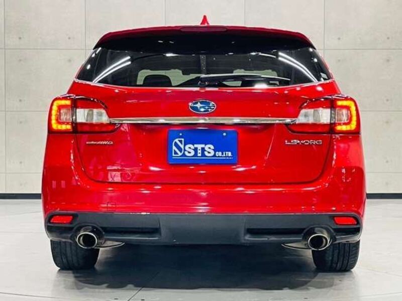 LEVORG