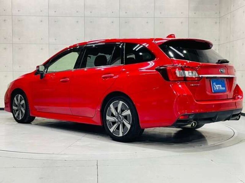LEVORG