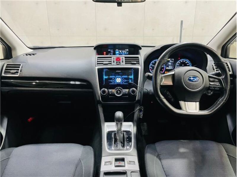 LEVORG