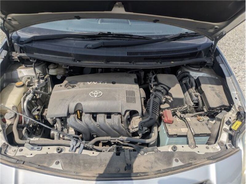 AURIS
