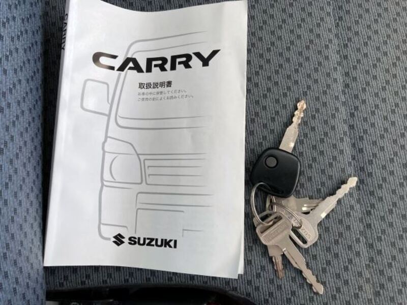 CARRY TRUCK