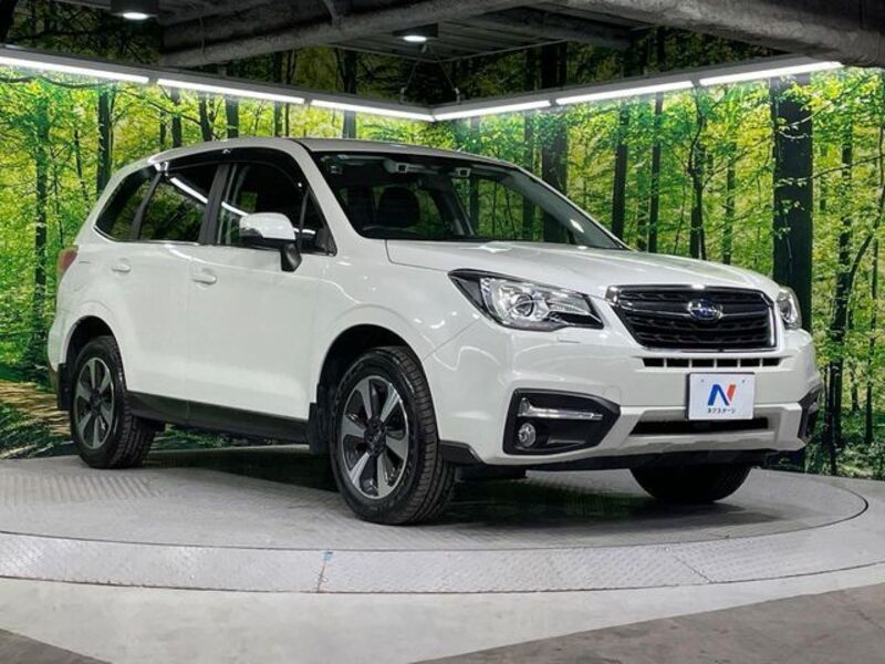 FORESTER