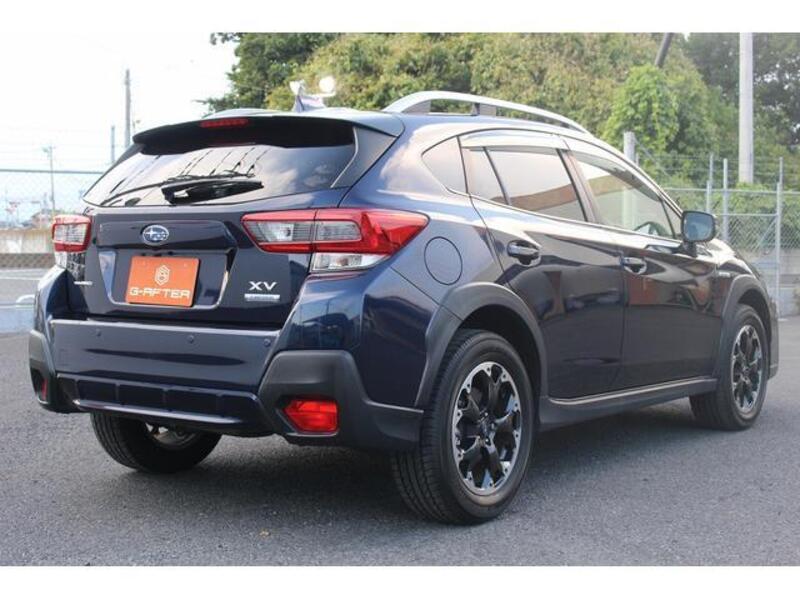 XV