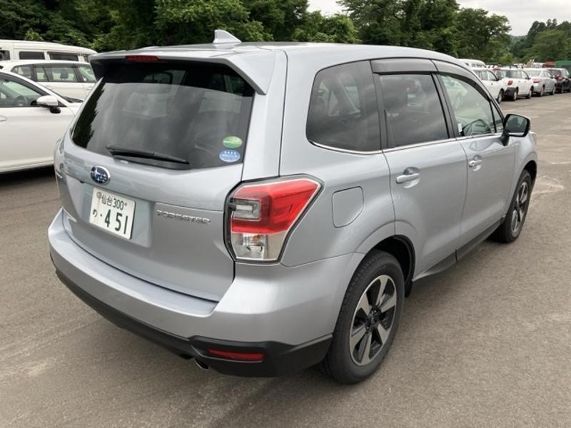 FORESTER
