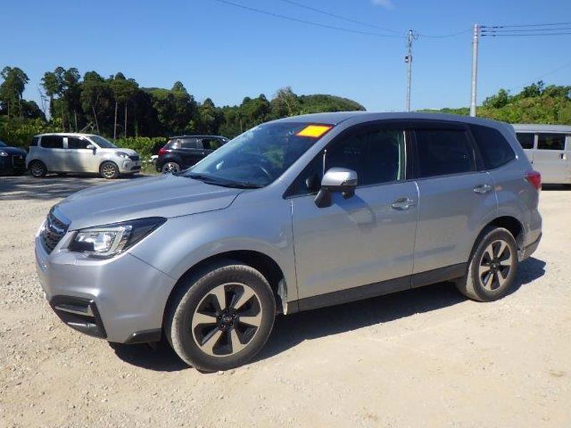 FORESTER