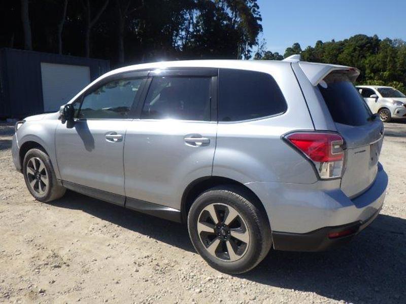 FORESTER