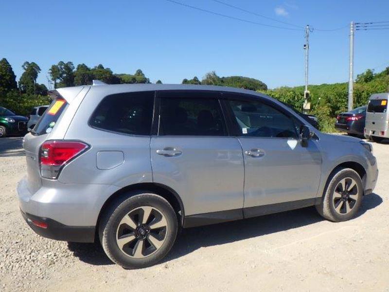 FORESTER