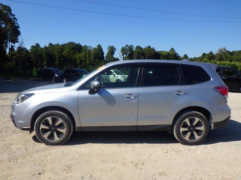 FORESTER