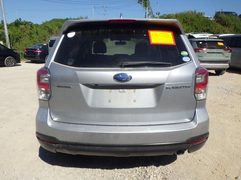 FORESTER