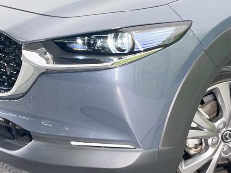 CX-30