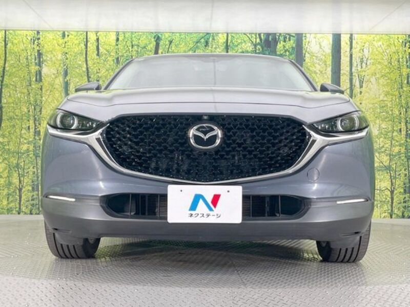 CX-30