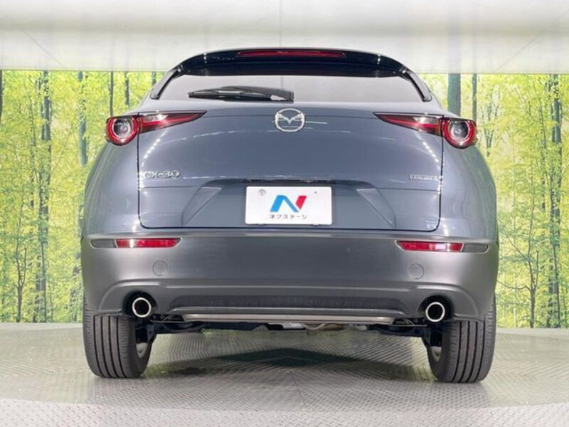 CX-30