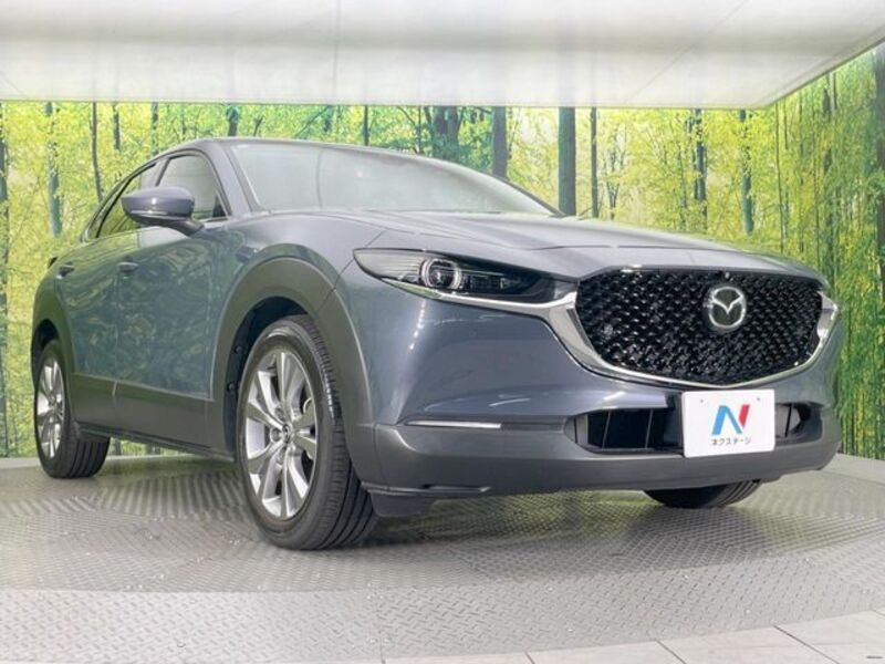 CX-30