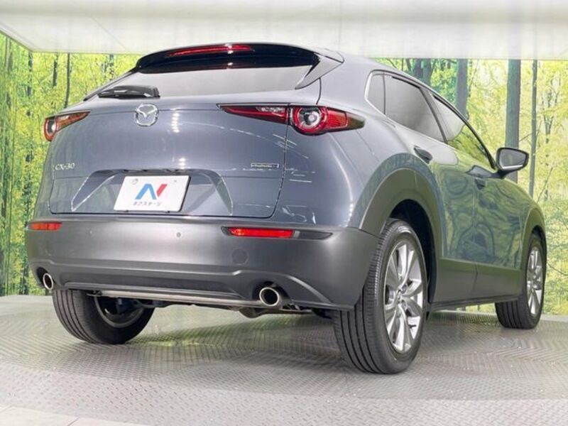 CX-30