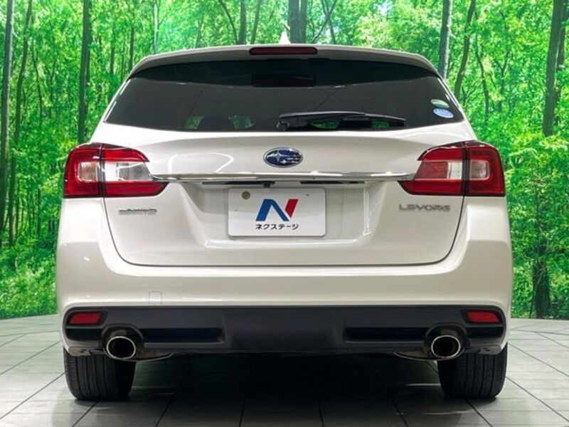 LEVORG