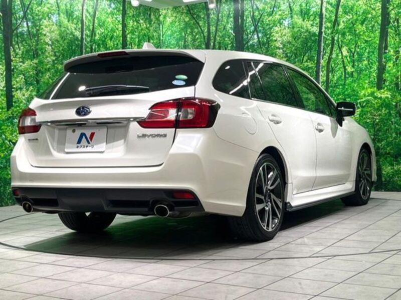 LEVORG