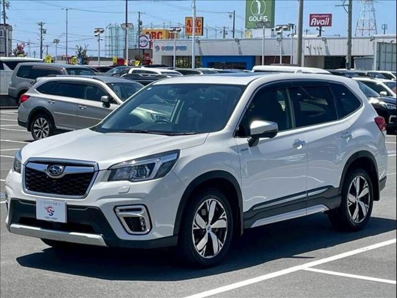 FORESTER