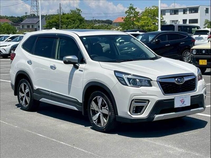 FORESTER