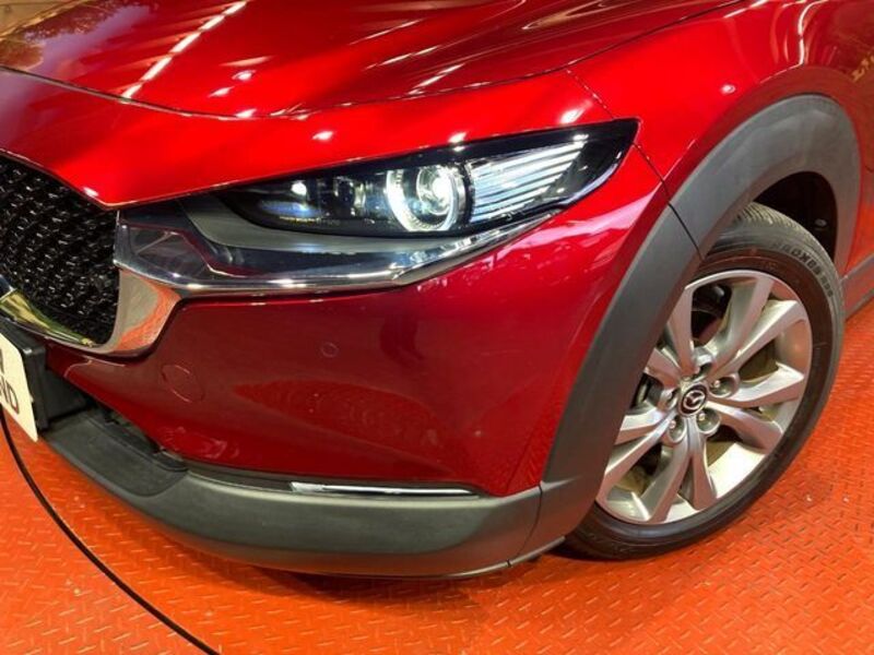 CX-30