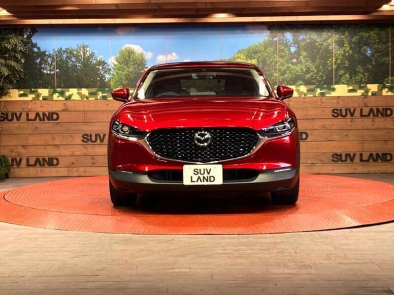 CX-30