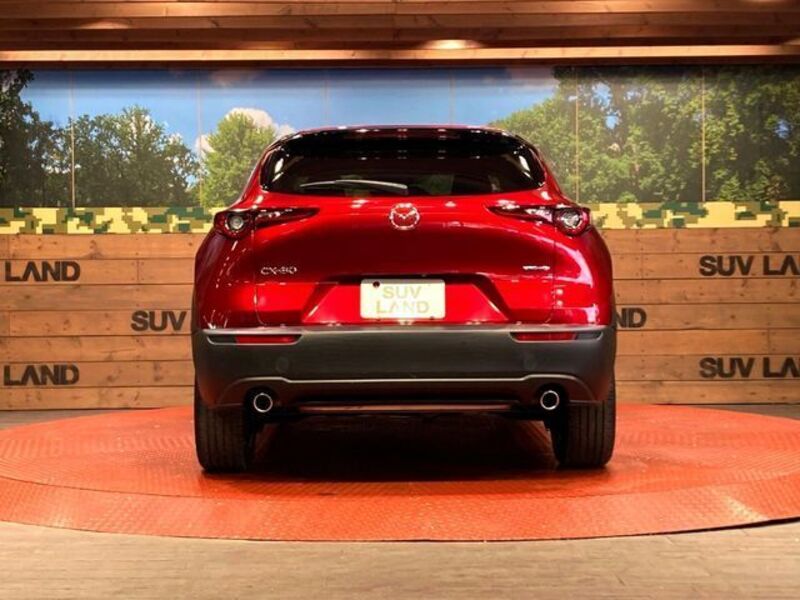 CX-30