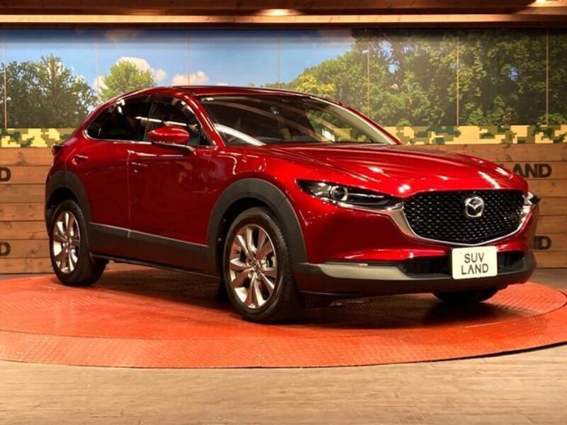 CX-30