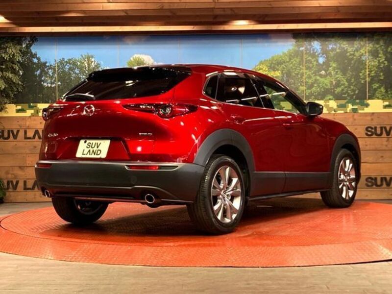 CX-30