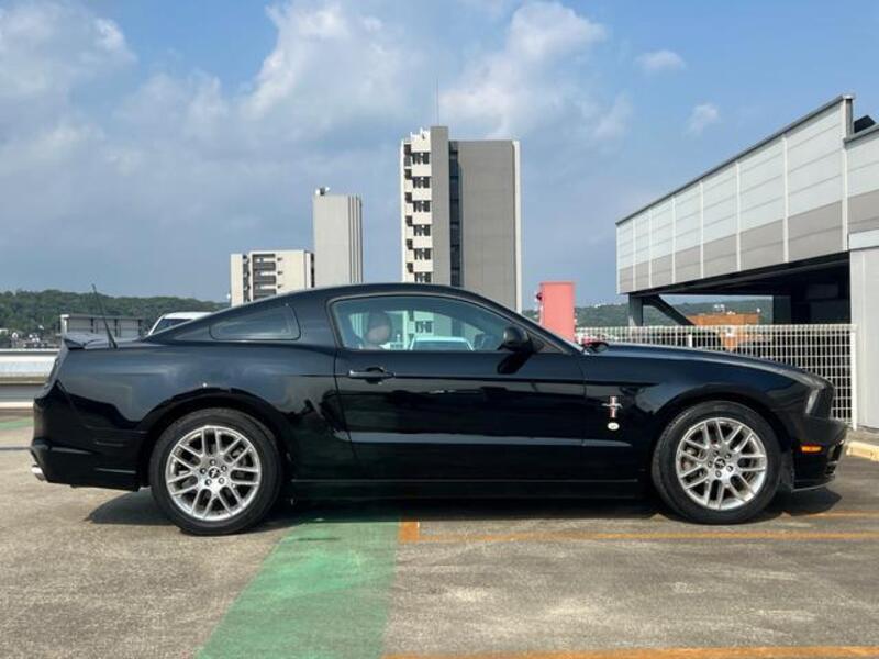 MUSTANG