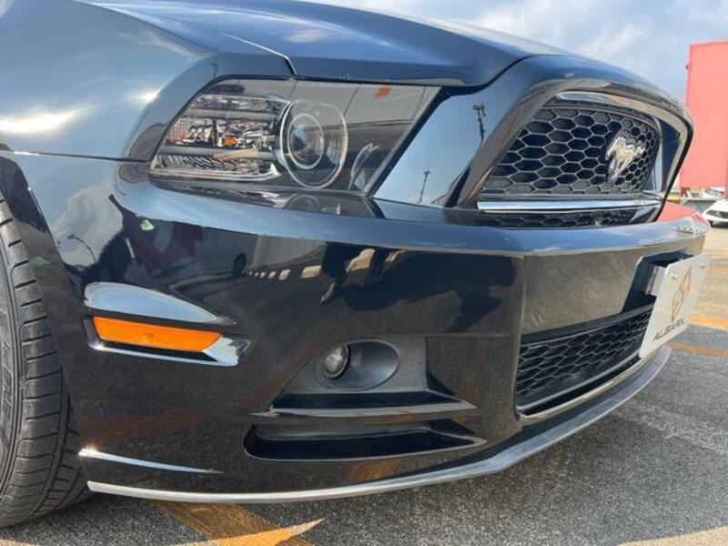 MUSTANG