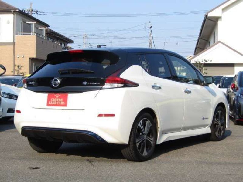 LEAF