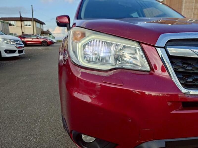 FORESTER