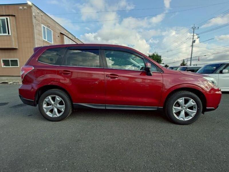 FORESTER