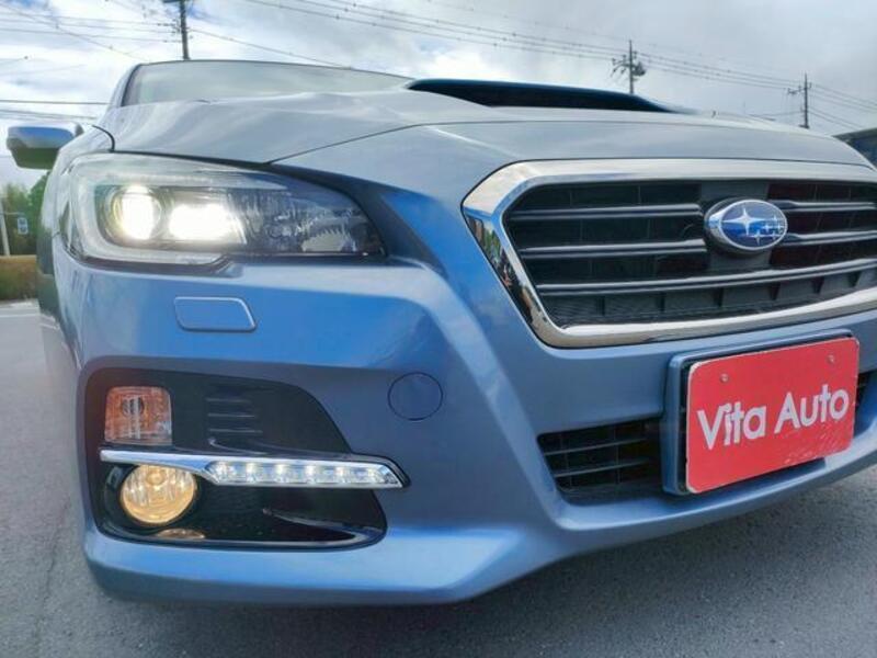 LEVORG