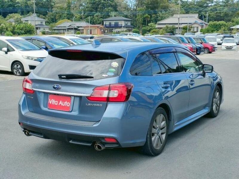 LEVORG